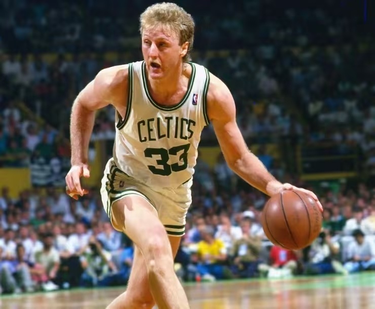 天与夜晚鱼 天与夜晚鱼